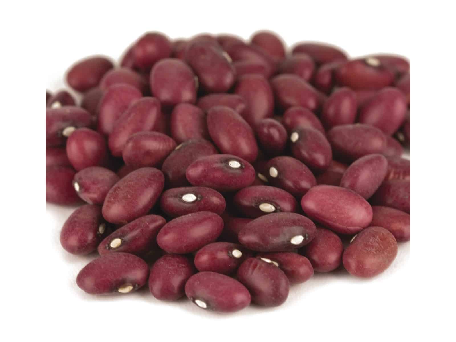 Small Red Beans Bulk Priced Food Shoppe